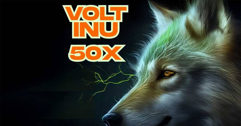 VOLT INU Exposed: Hyper-Deflationary Meme Coin or Hidden Gem?&nbsp;🚀